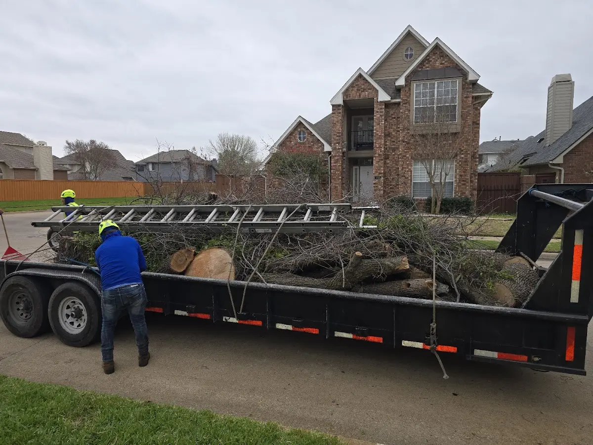 Expert Lot Clearing with proper safety equipment in Roll